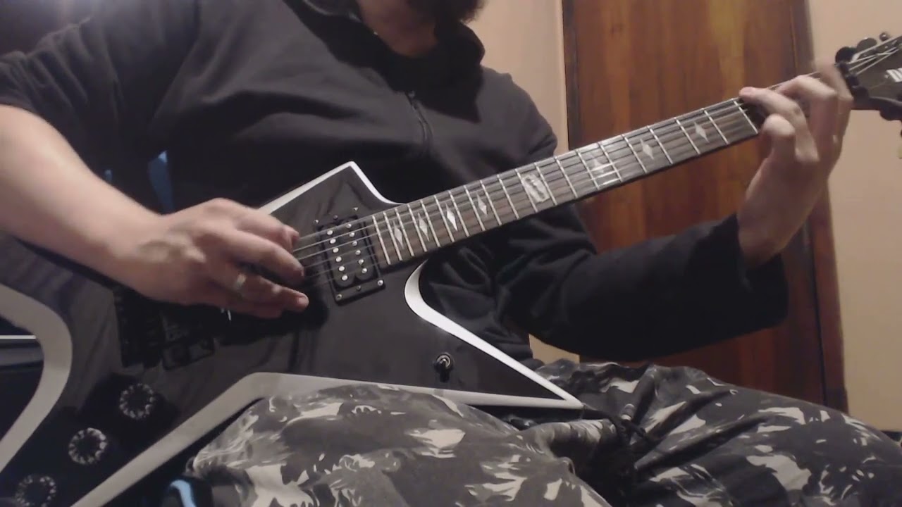 Pantera - Shedding Skin [Cover]