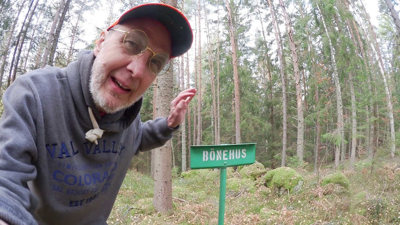 Skogsbyravinen utanför Stavsjö