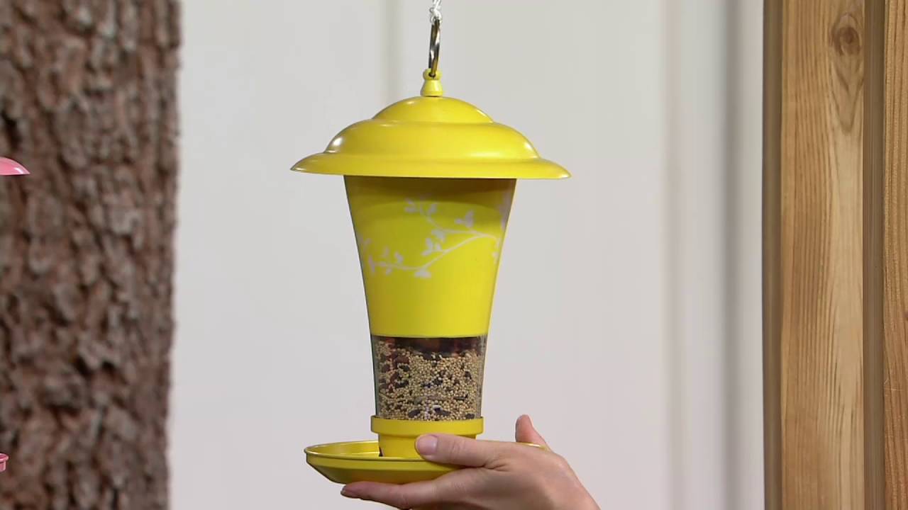 Effortless Birdfeeder with Easy Sliding Refill System on QVC