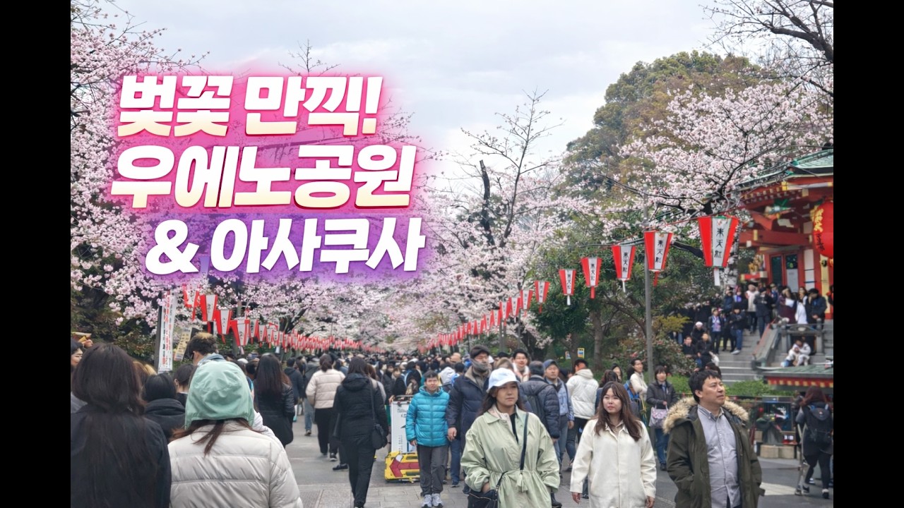 우리 부부 우에노 공원, 아사쿠사 벚꽃 산책