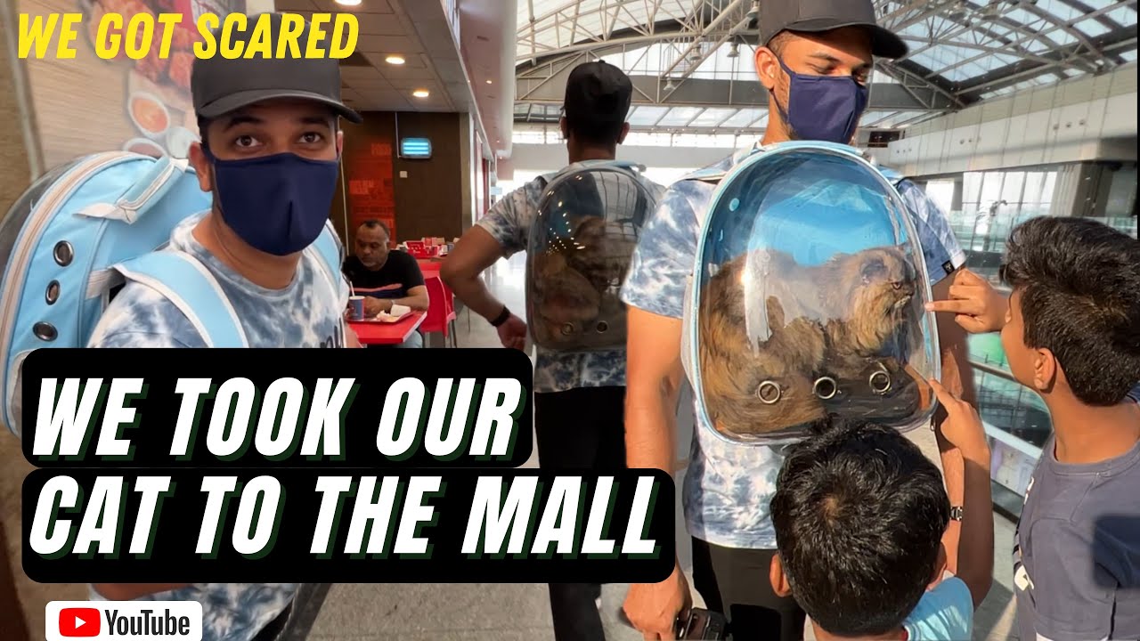 A Day with my cat cookie I we took her to the mall I #thesquawkvlogs #squawkrahulraj