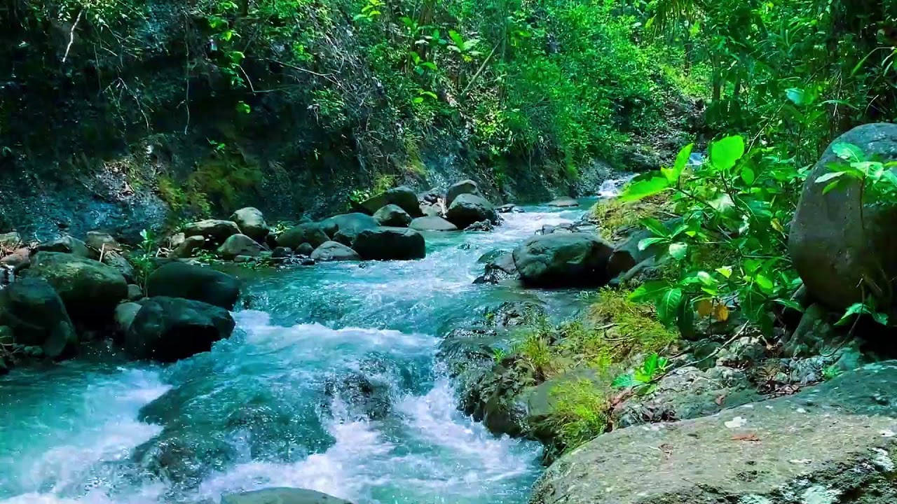 🌊 Tranquil Water Sound Ambience | River Sounds for Sleep Therapy & Stress-Free Nights