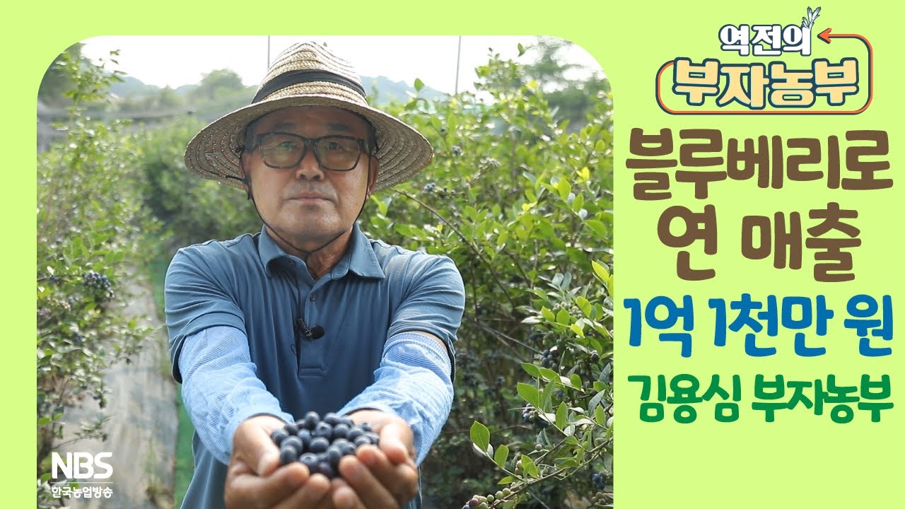 [역전의부자농부 257회] 블루베리로 연 매출 1억 1천만 원! 서울 강동 김용심 부자농부