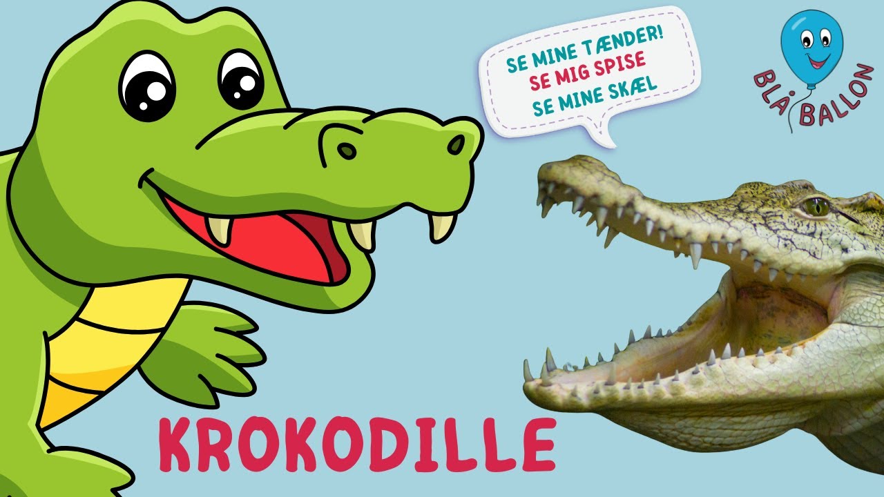 Sjov film for børn om krokodiller. Se ægte krokodiller synge 
