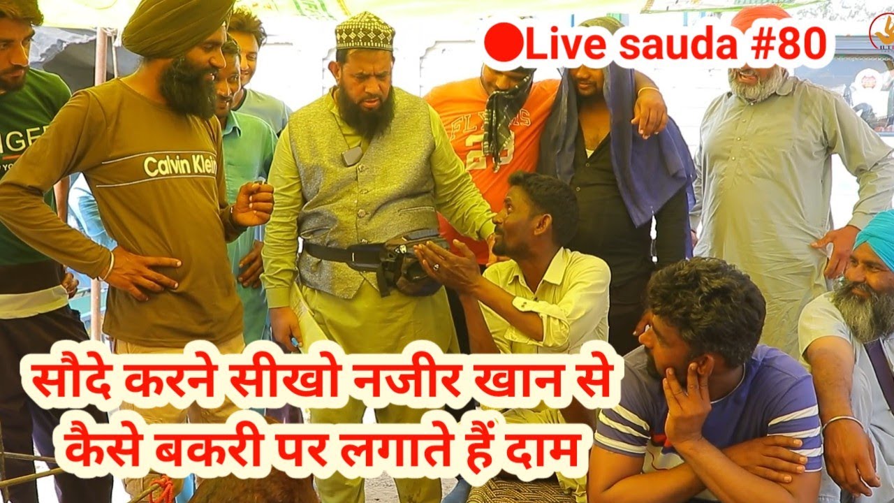सौदे करने सीखो नजीर खान से - Tung wali bakra mandi @ILTI LANA TV