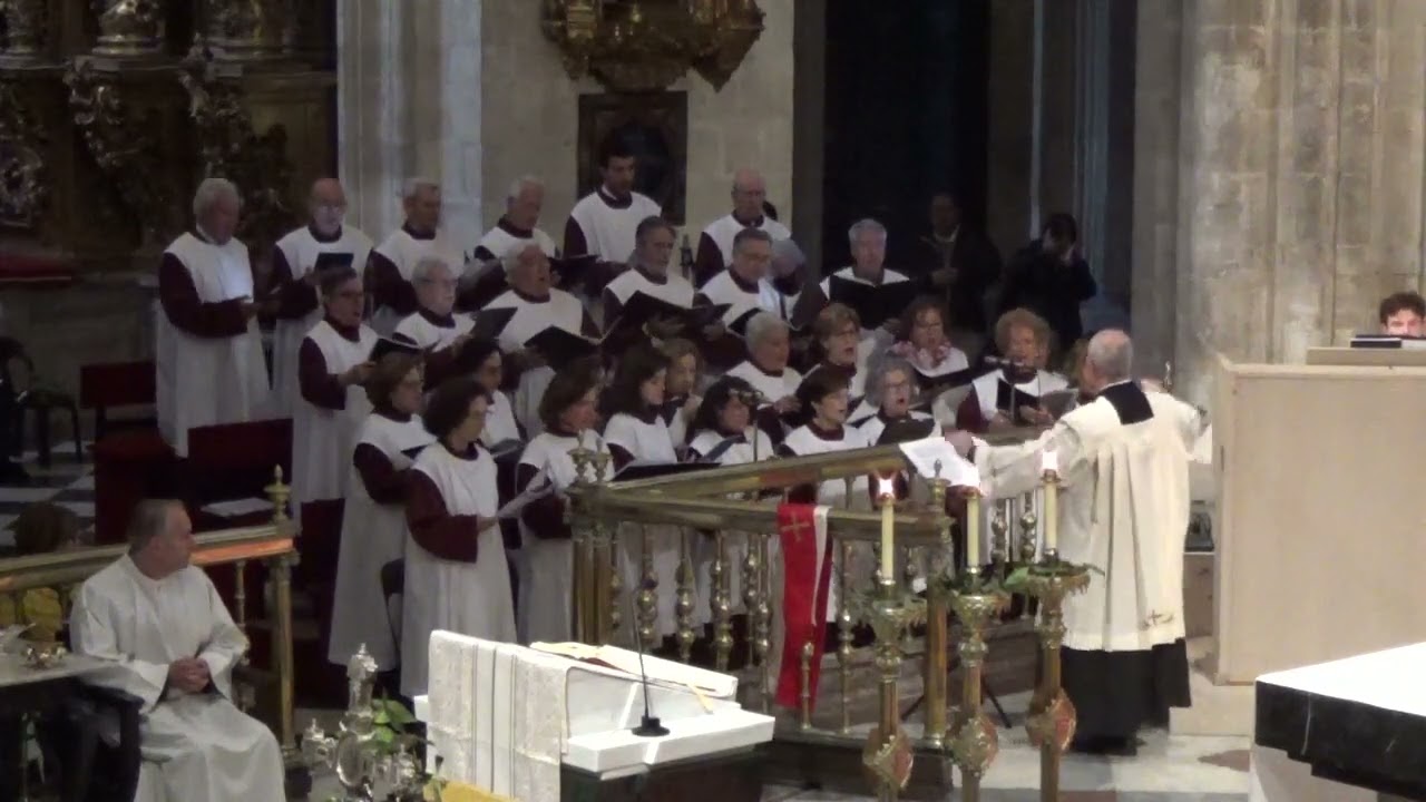Domingo Ramos 2023. Schola Cantorum S.I.B.Catedral  de Oviedo. Canto : 
