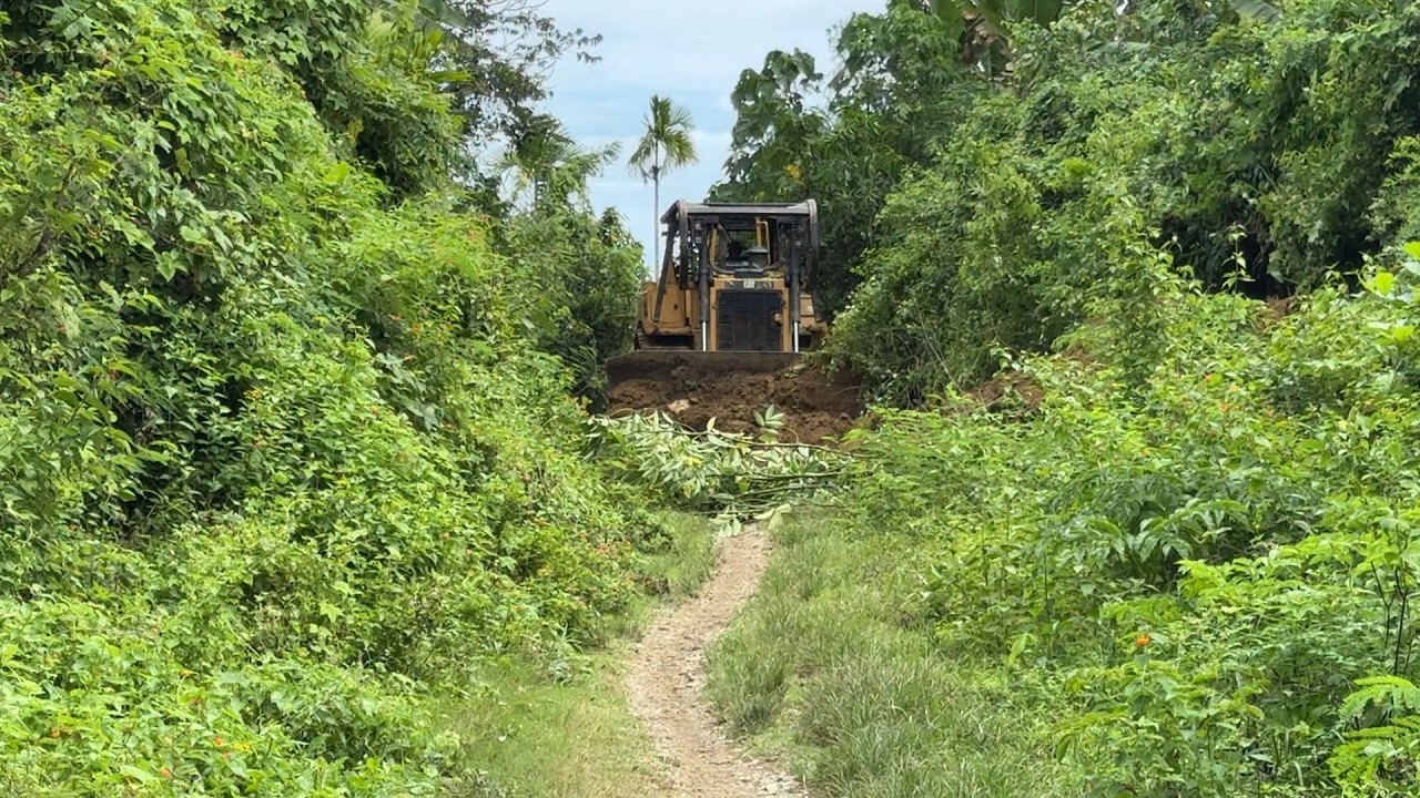 EXTREME Road Repair! D6R XL Bulldozer in Action