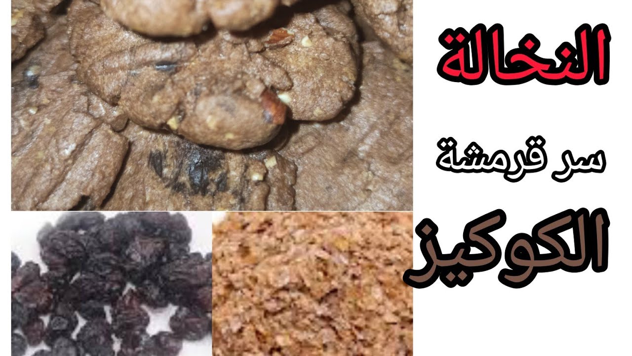 كوكيز لذيذ و مقرمش بمقادير بسيطة