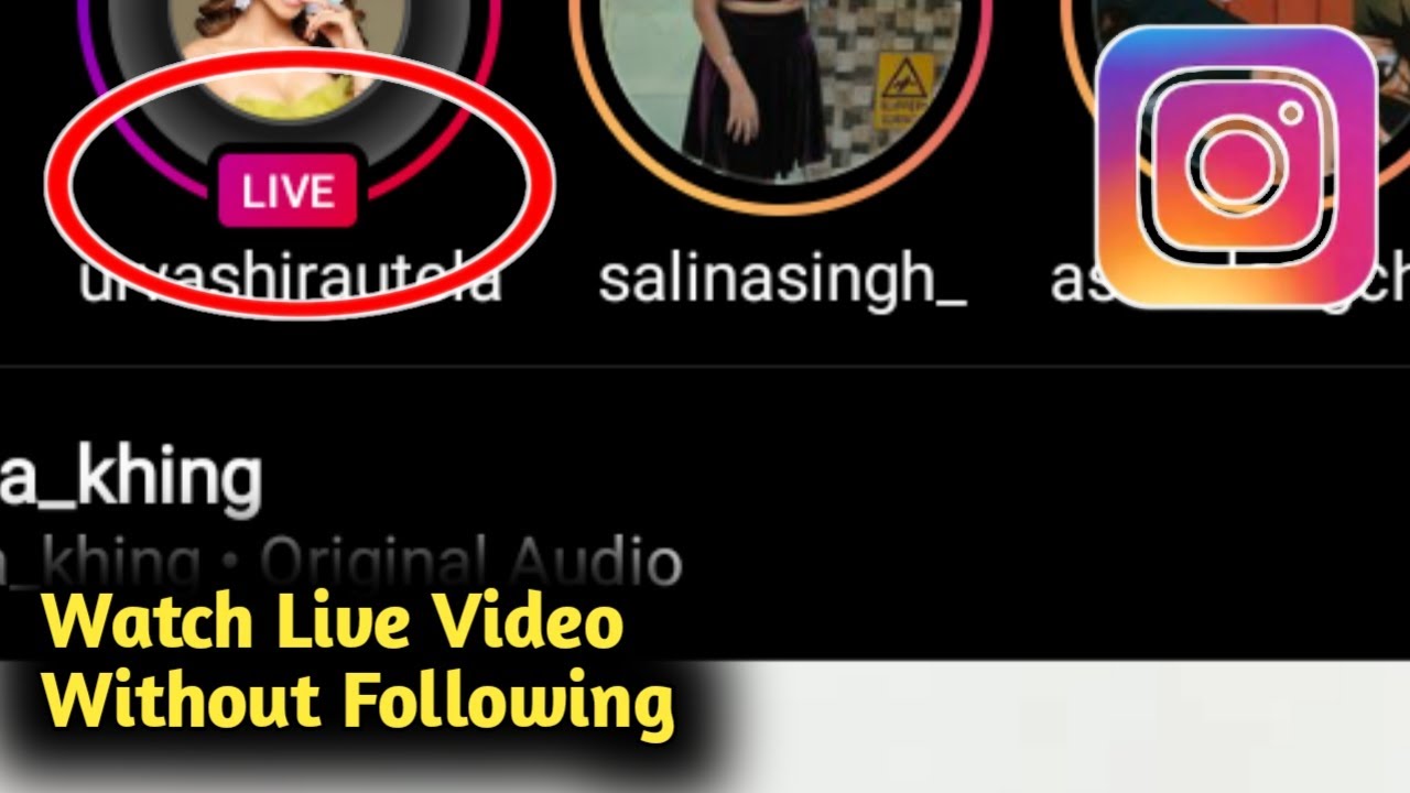 How to Watch Instagram Live Video Without Following