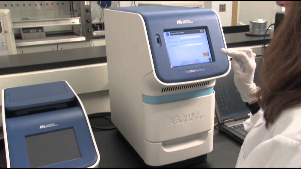 Amplify Sample with The StepOnePlus™ Real Time System  (qPCR step 6)