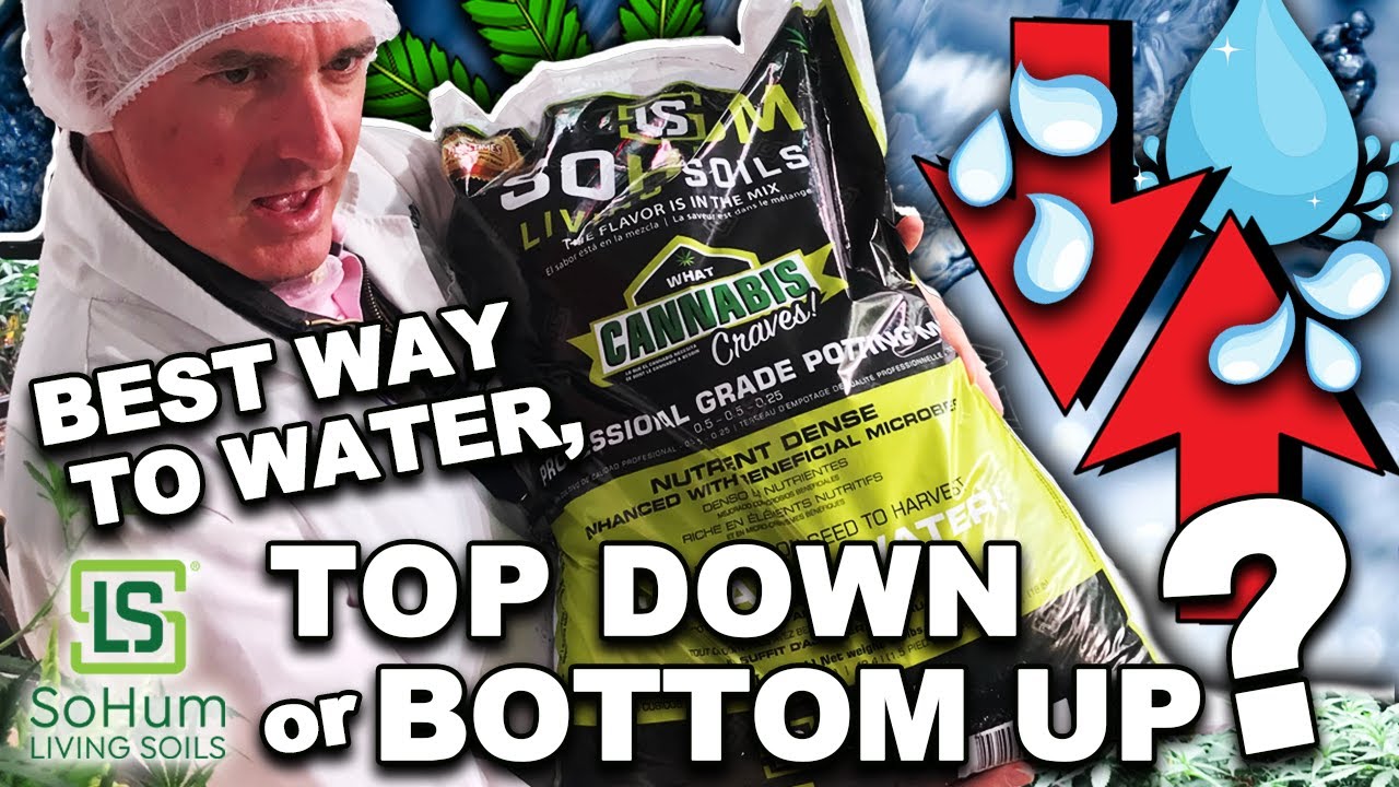 What Is the Best Way To Water With SoHum Living Soils&reg;?