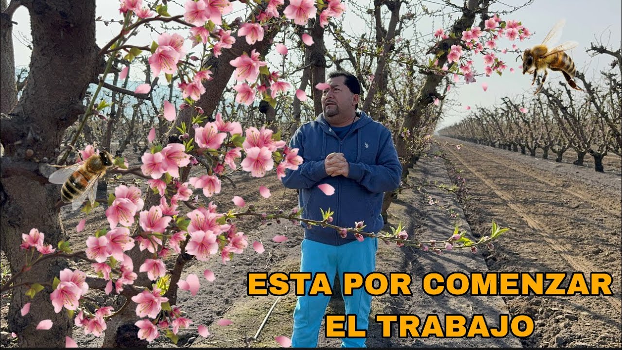QUIERES SABER CUALES SON LOS PRIMEROS TRABAJOS  EN ESTADOS UNIDOS  QUE SE APROXIMAN??
