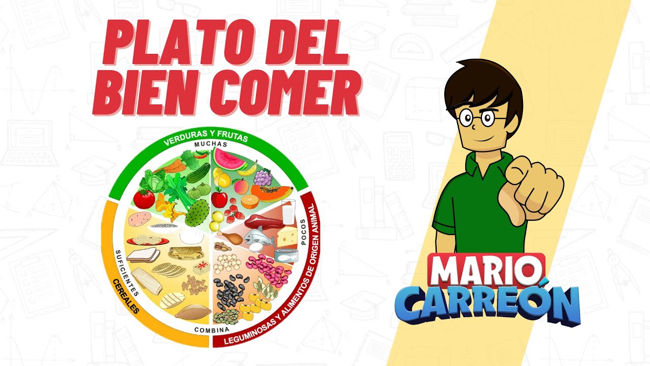 🍏 El Plato del Bien Comer 🍊