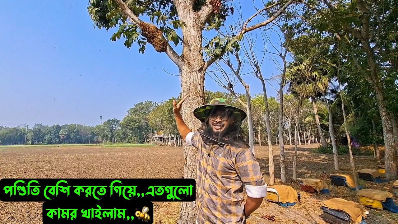পণ্ডিতি বেশি করতে গিয়ে,,এতগুলো কামর খাইলাম,,🐝