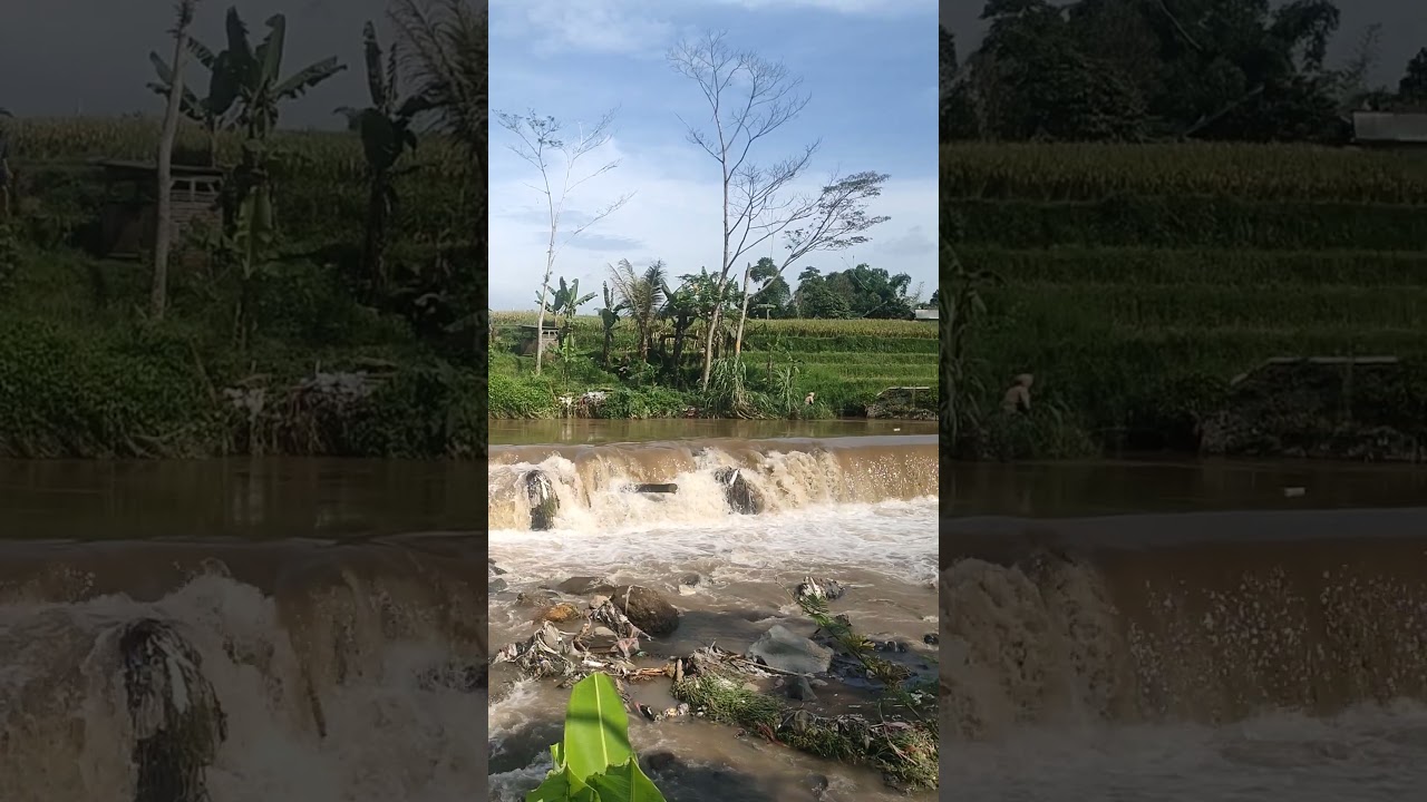 sungai Cimanuk terpantau meluap dan keruh #shortsviral