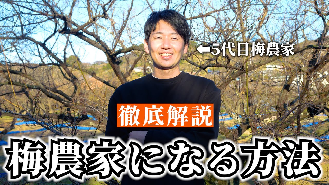 【農業を仕事に】０から梅農家になる方法を解説します