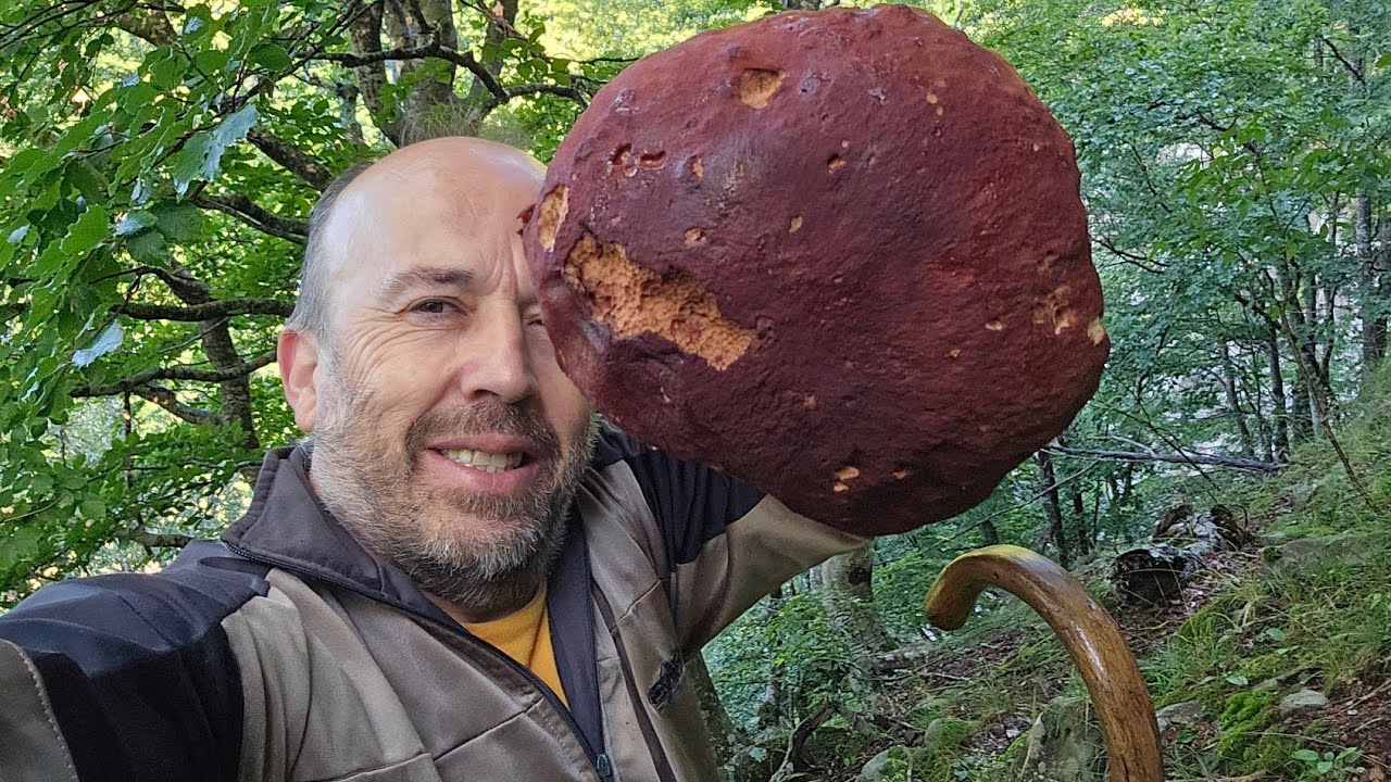 PORCINO DA 670 GRAMMI!!! ROSSI E BIONDI...