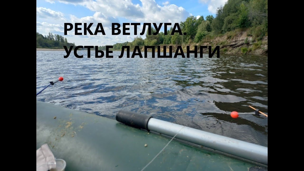 Клёв осеннего леща на кольцо.Рвет поводки,разгибает крючки. р.Ветлуга.