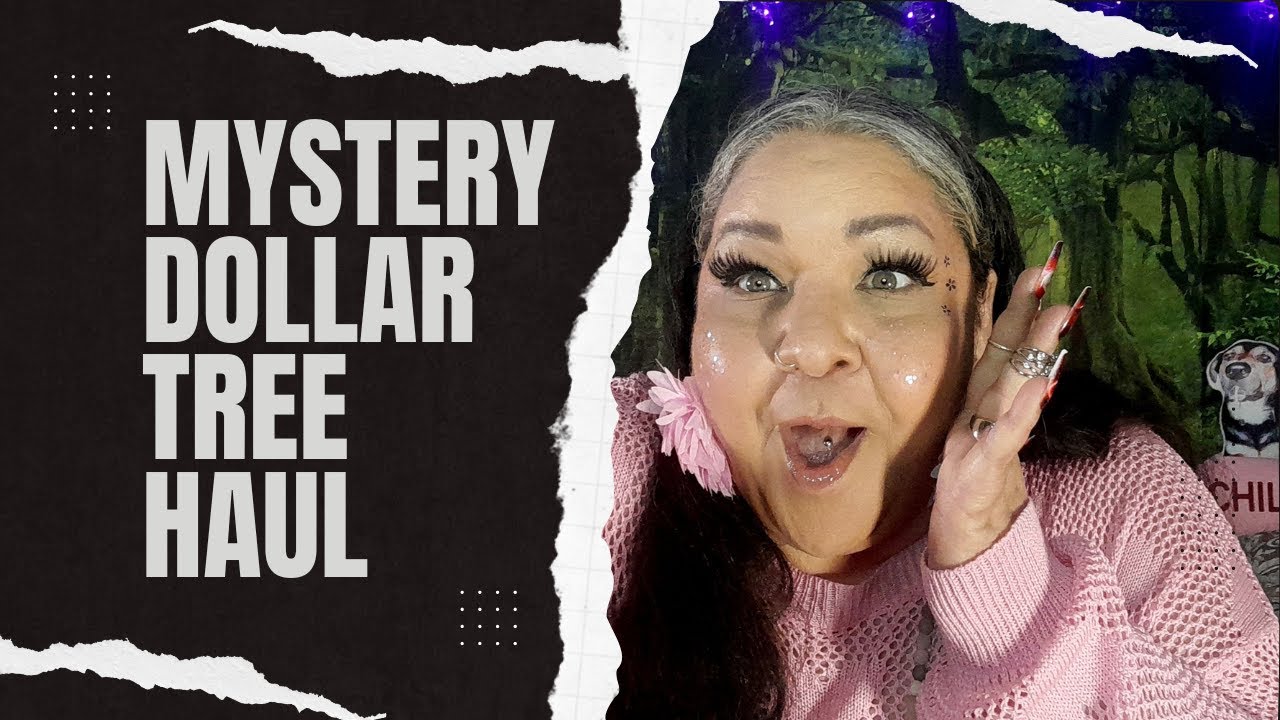 Friday MYSTERY Dollar TREE Haul!! #dollartree #haul