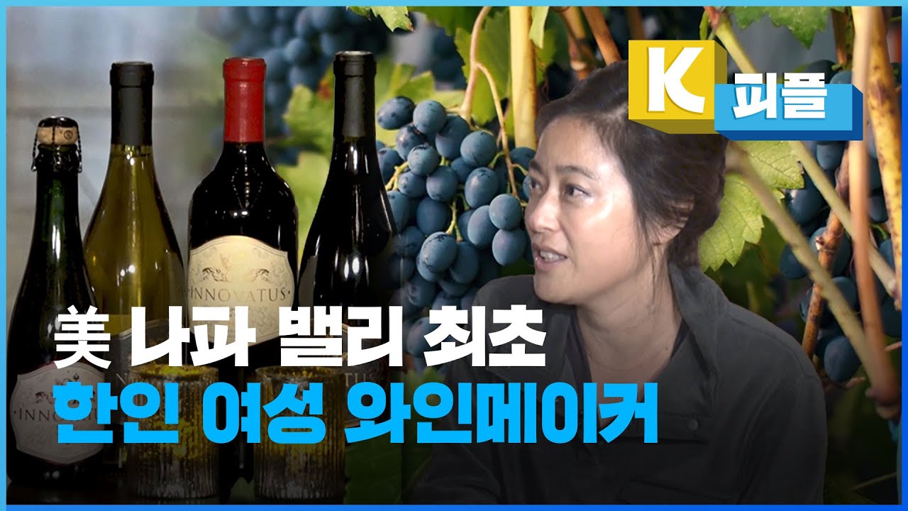 [K피플] 미국 나파 밸리 첫 한인 여성 ‘와인메이커’ 세실 박 / KBS