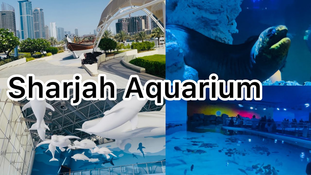 Sharjah Aquarium | Best tourist attraction in Sharjah | Must visit place in Sharjah 