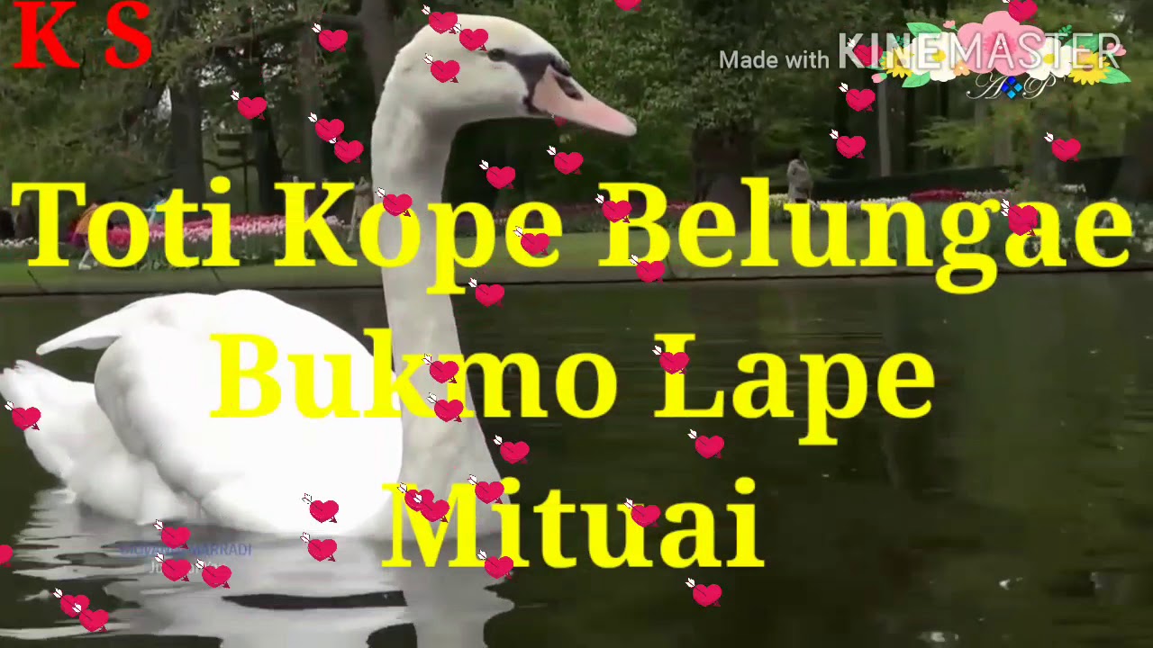 Toyang  Kiramto Nom Karaoke With Lyrics