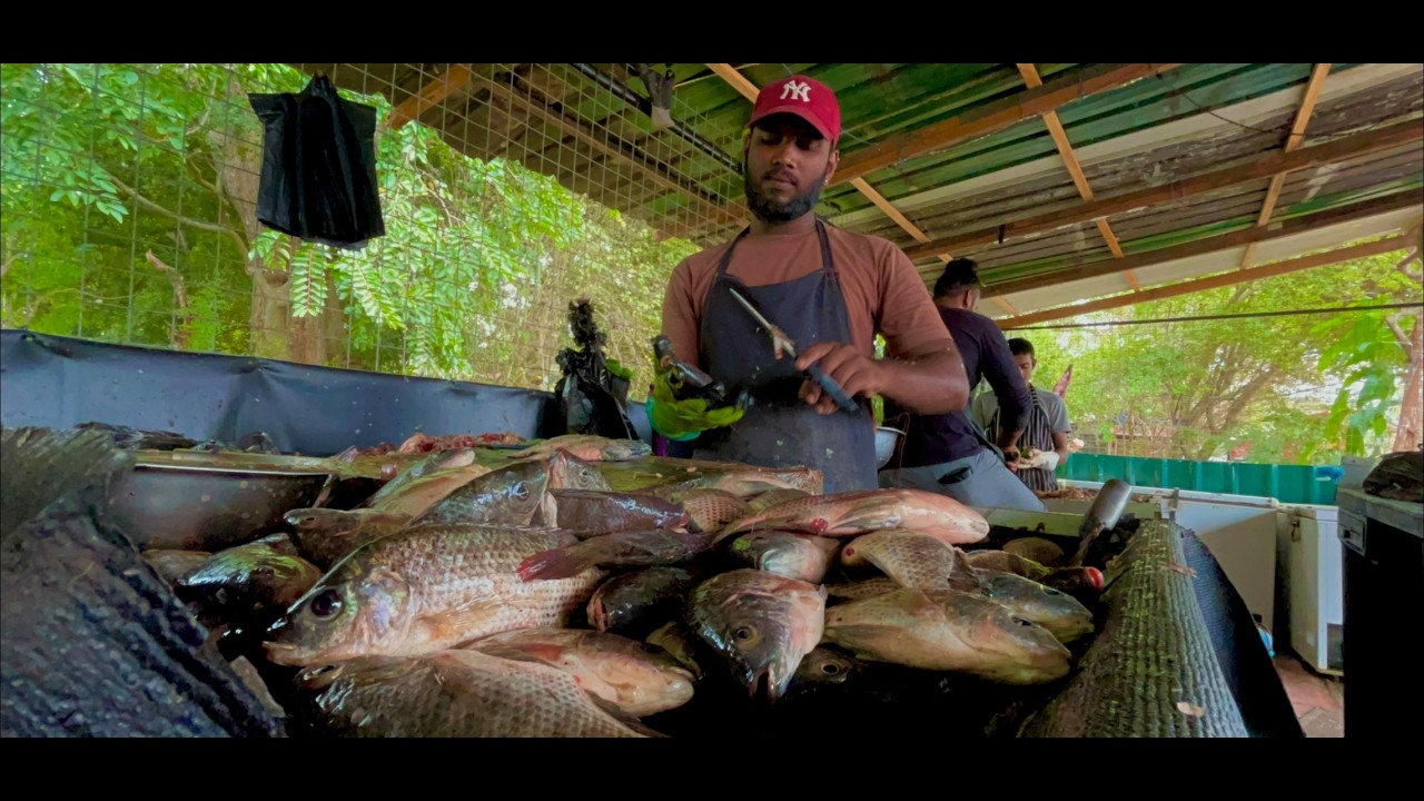Tourists Miss This! Sri Lankan Rural Village Hidden Street Fish Market