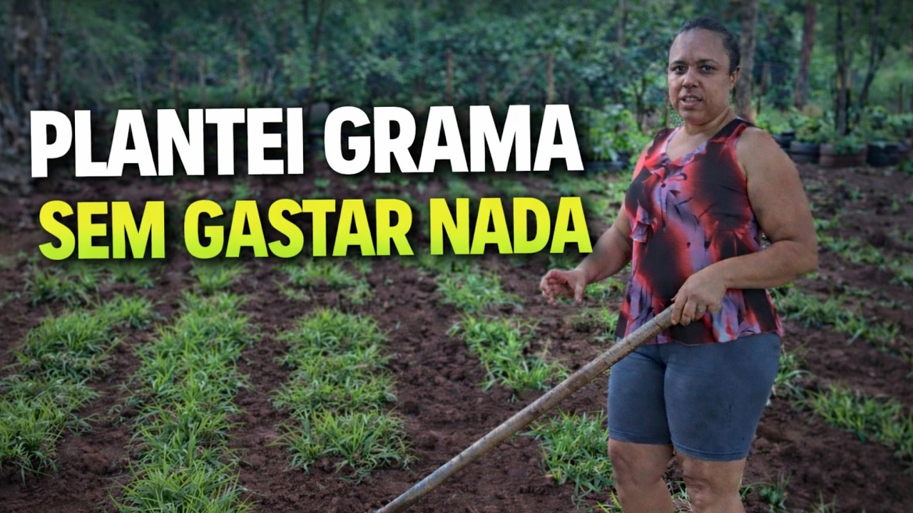 Como Plantar Grama do Zero (PASSO A PASSO) 🌱 Sem Gastar Nada!