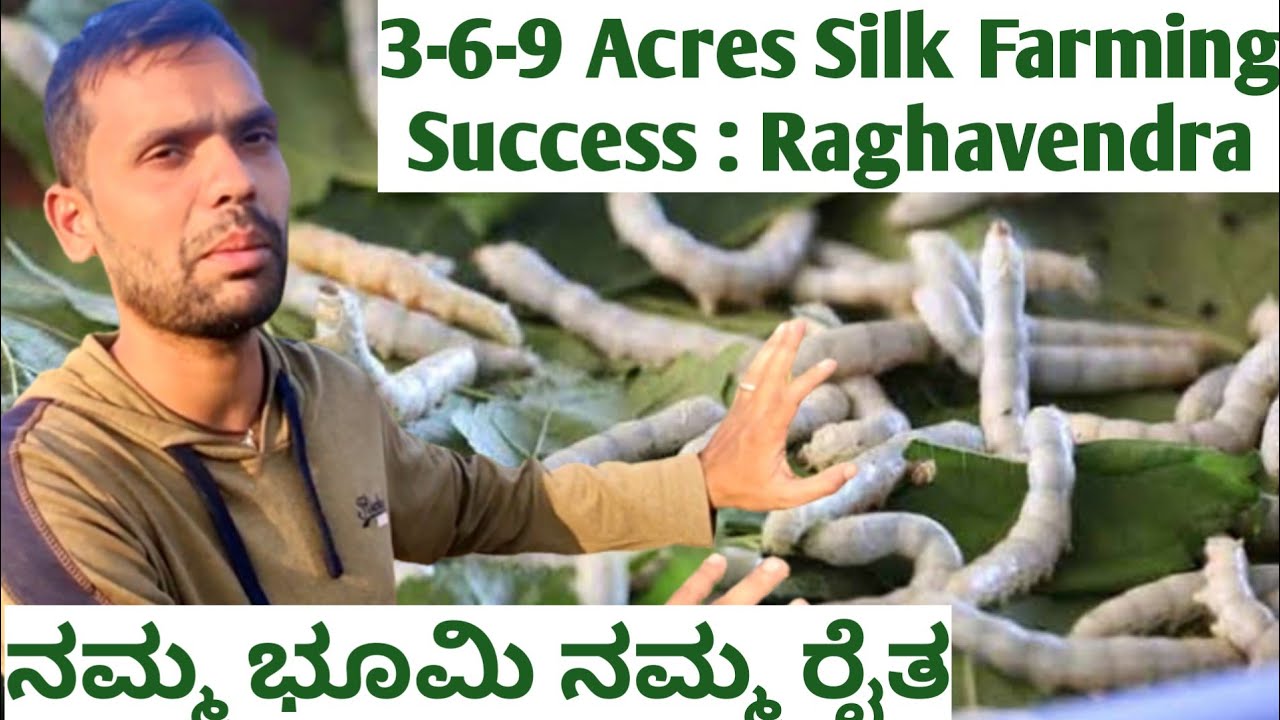 3-6-9 Acres Silk Farming Success : Raghavendra | Sericulture