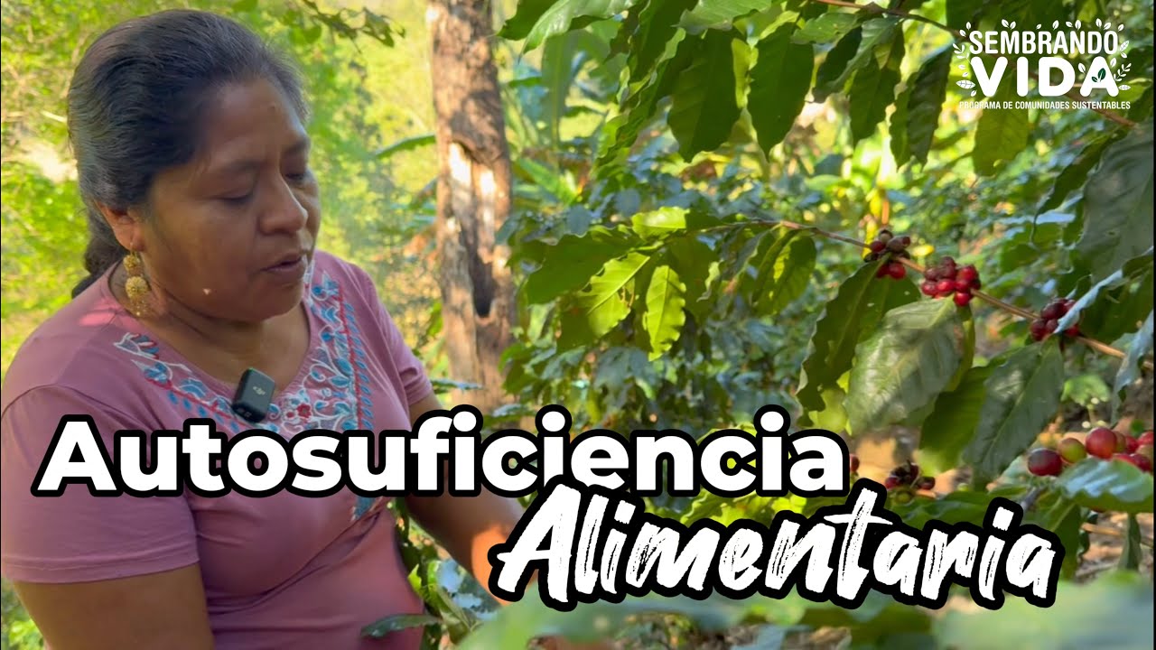 Comunidades Autosuficientes - Sembrando Vida