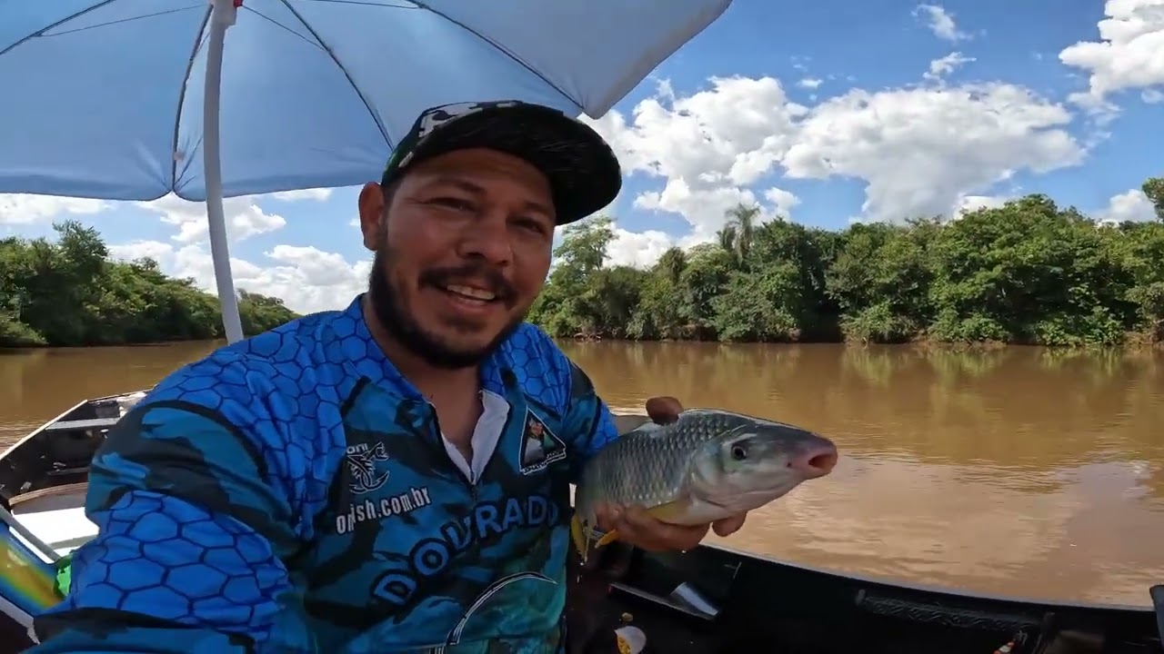 PESCARIA ,  PIAU PIAPARA , MUITO PEIXE NA PONTA DA LINHA !!!