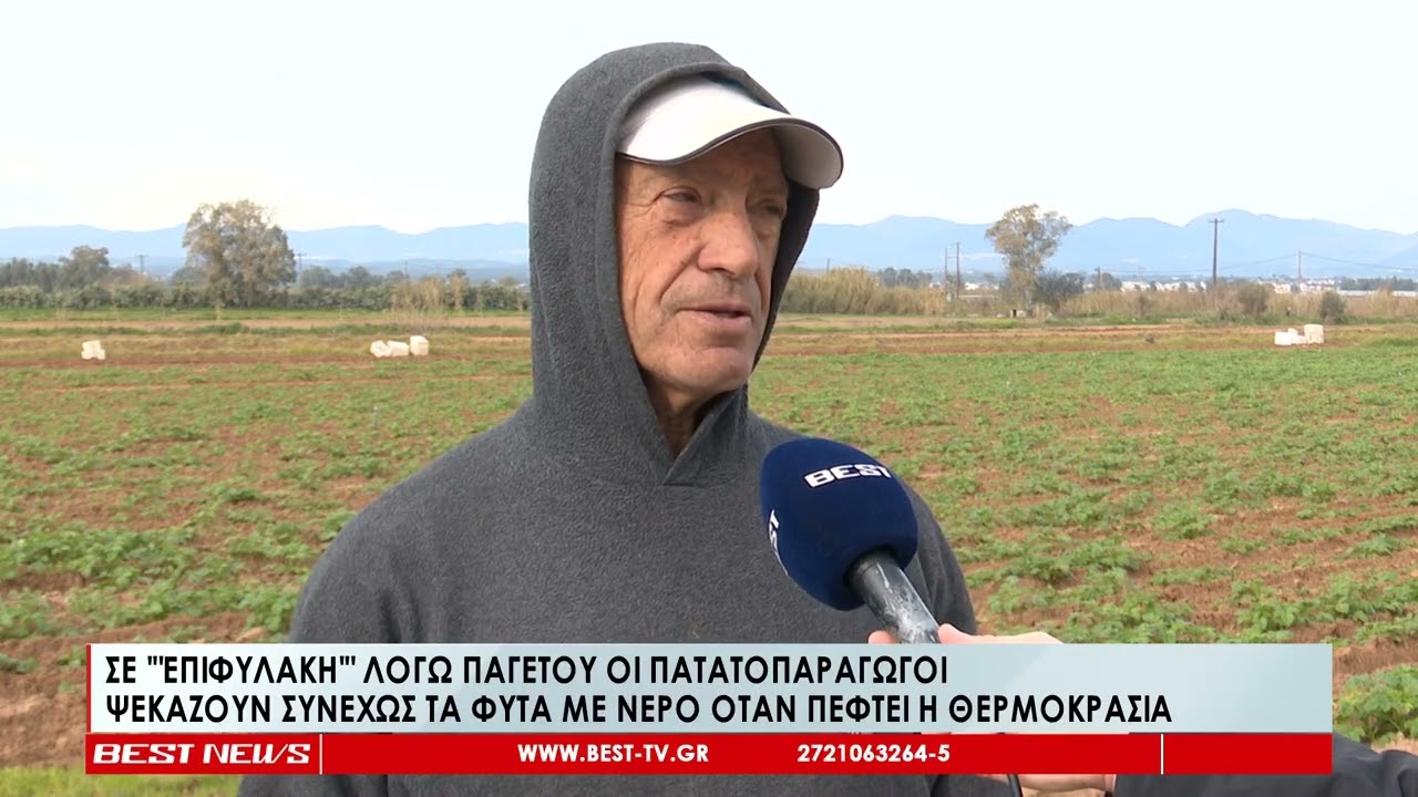Σε επιφυλακή λόγω παγετού οι πατατοπαραγωγοί | Ψεκάζουν συνεχώς με νερό όταν πέφτει η θερμοκρασία
