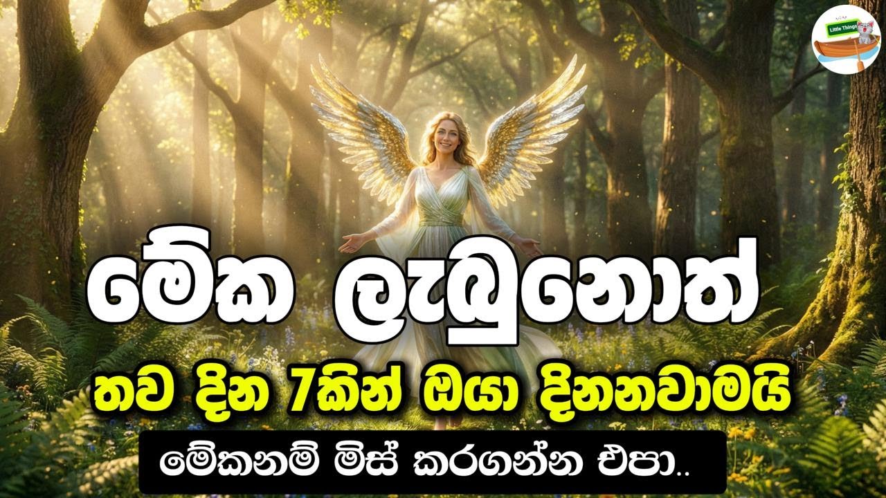 ඔබ බලා සිටි සියල්ල ඔබට ලබා දීමට විශ්වය සූදානම් | The Universe Is Ready to Give You Everything