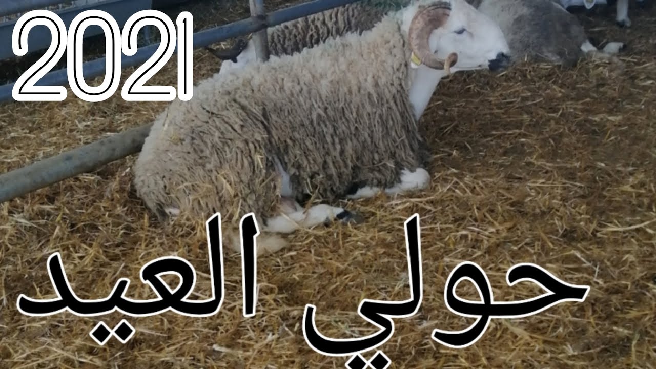 حولي العيد الكبير 2021