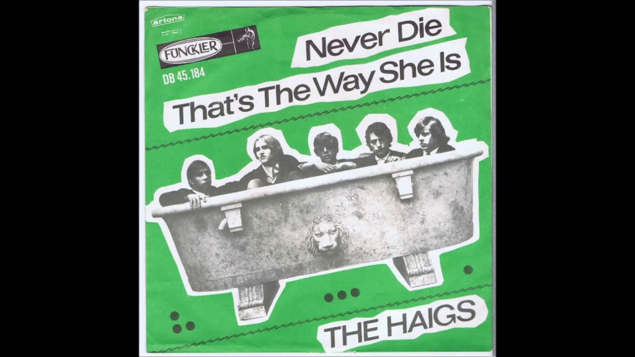 The Haigs - Never Die