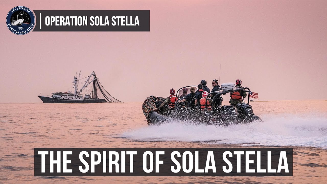 The Spirit of Sola Stella