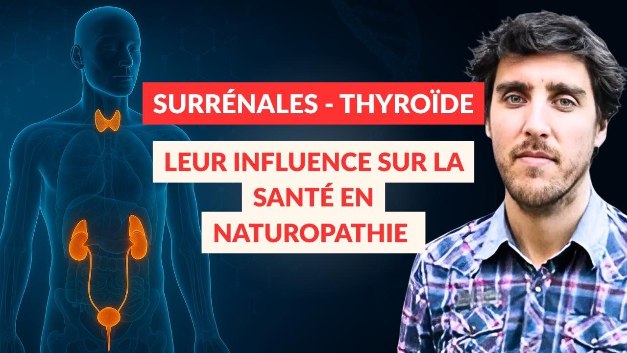 Fatigue, prise de poids, sommeil, stress, dépression : HORMONES EN ALARME !!!