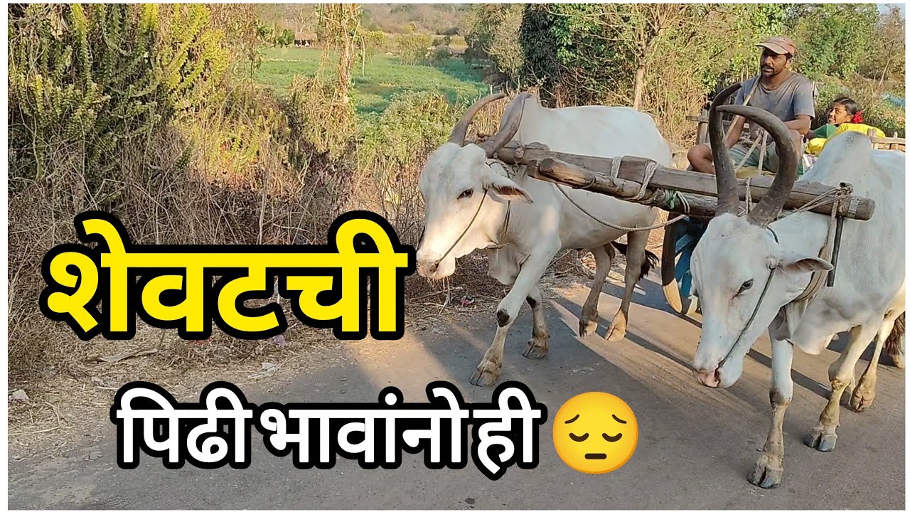Camping गॅस
