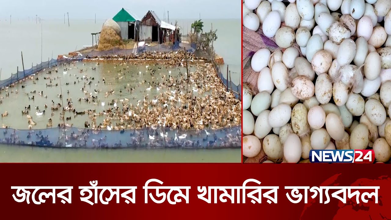 ভ্রাম্যমাণ হাঁসের খামারে বছরে আয় ৩০ লাখ টাকা | News24