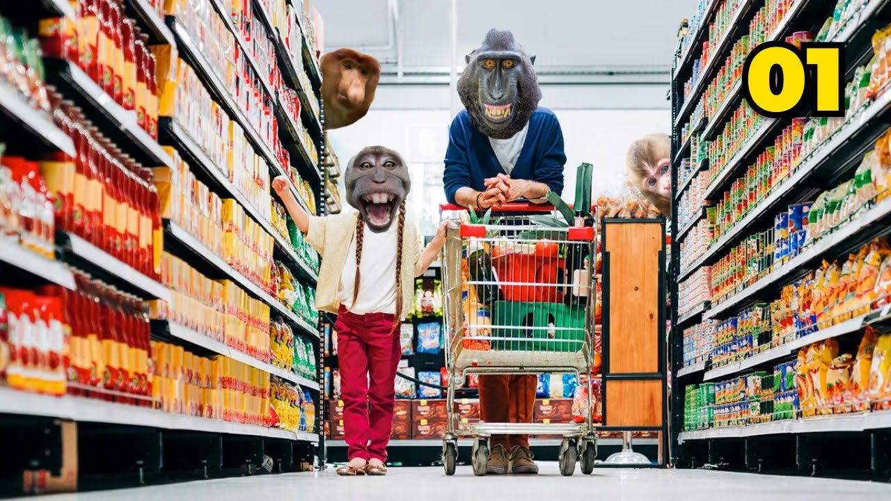 LE SUPERMARCHÉ DE LA JUNGLE 🛒 - EP. 1