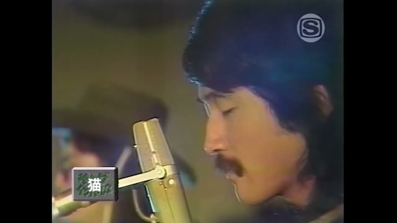 雪 / 猫　(1972)