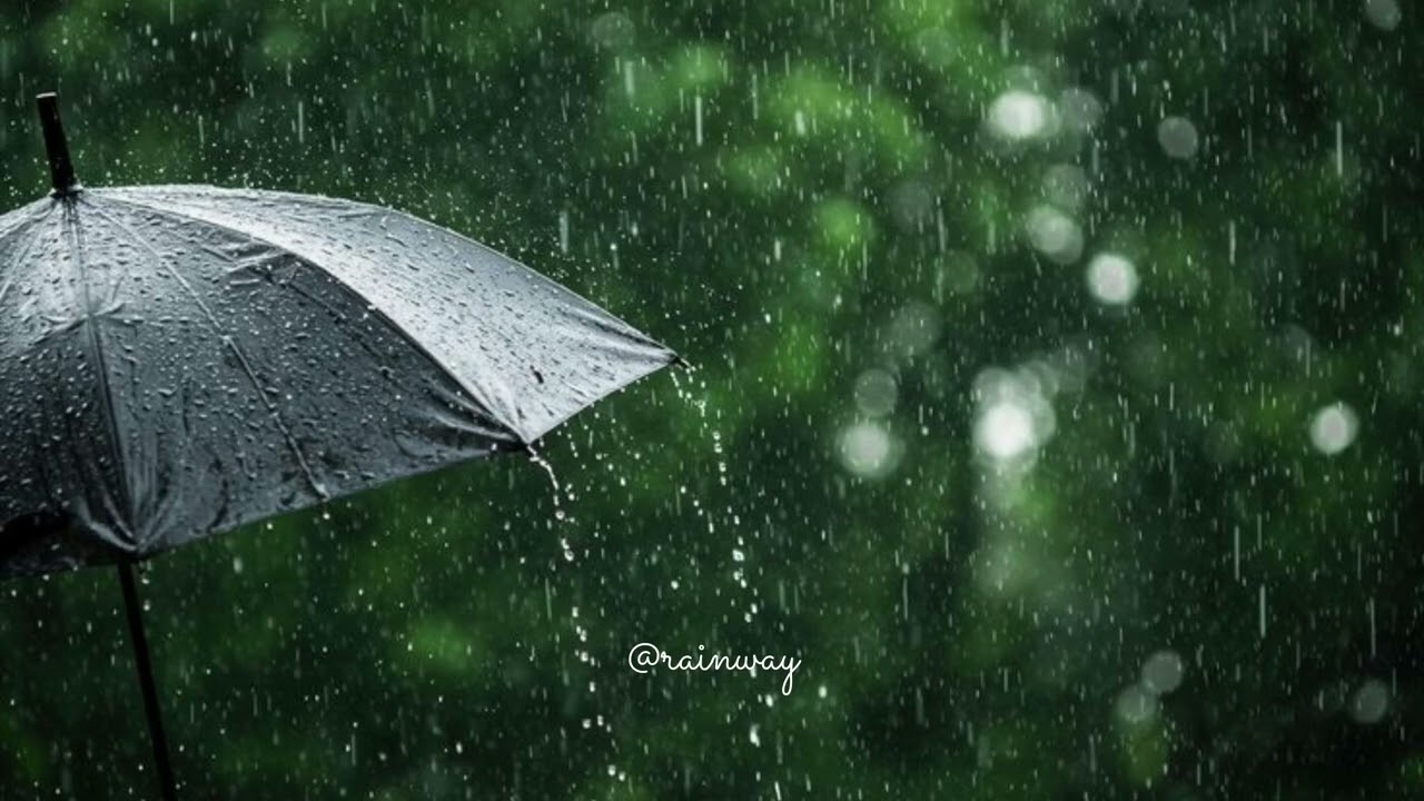 Heavy Rain for Sleep, Study and Relaxation, Meditation. #rain #asmr 