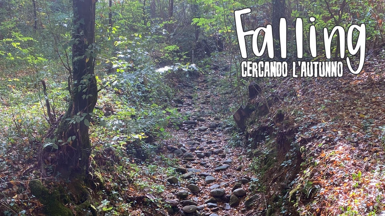 Frankenprism 1 - Falling! Cercando l'autunno
