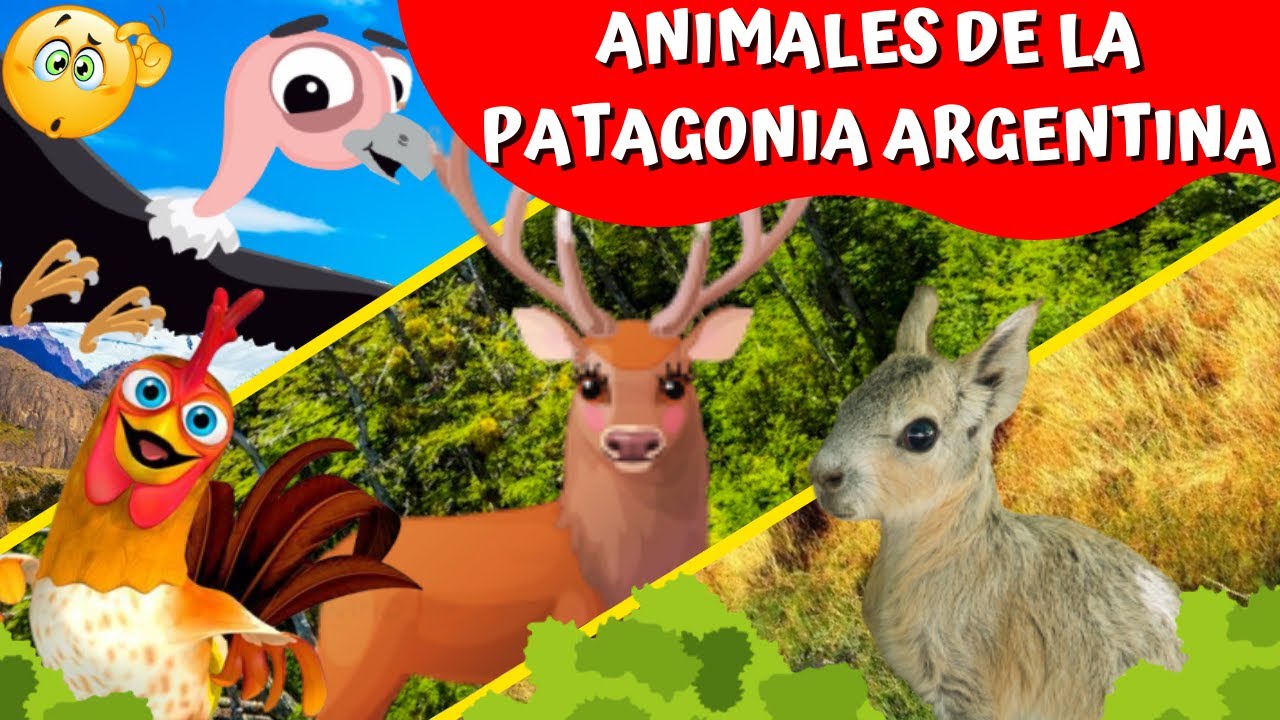 BARTOLITO PREGUNTA ¿QUE ANIMALES VIVEN EN LA PATAGONIA ARGENTINA?