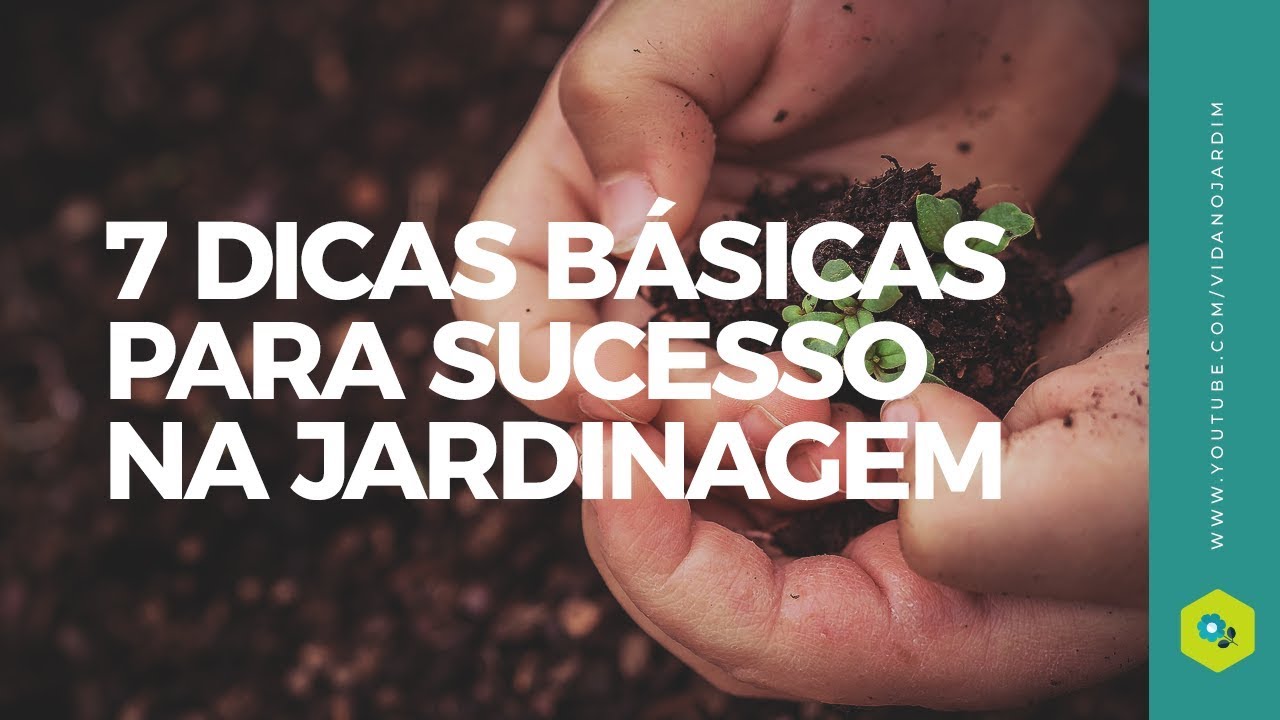 7 Dicas básicas para SUCESSO na Jardinagem