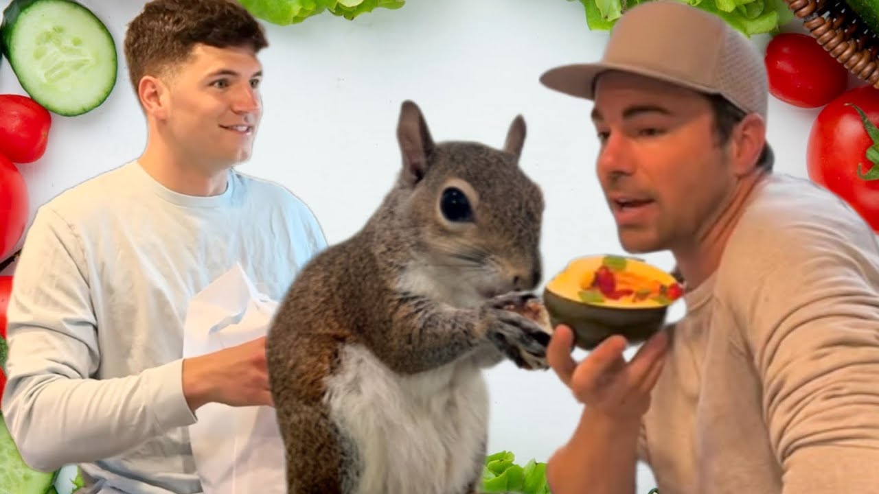Mark Rober and Nick DiGiovanni made dinner for squirrels that water ski 🥰🐿️