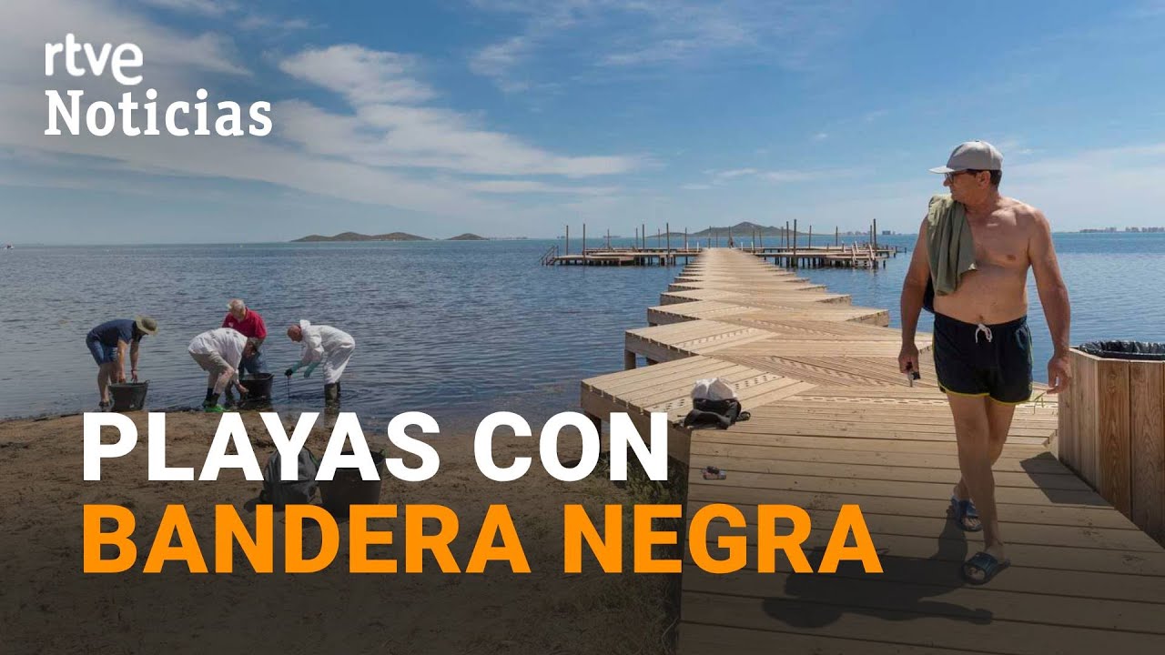VERTIDOS, CREMAS y URBANIAZACIÓN: Así son las 48 PLAYAS españolas con la 
