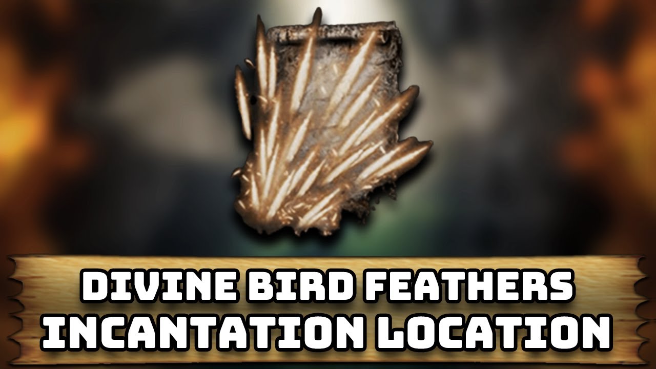 How to Find Divine Bird Feathers Incantation in Elden Ring Shadow of the Erdtree