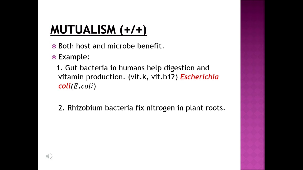 Lec 3 Host microbe relationship|DMLT lecture in hindi|
