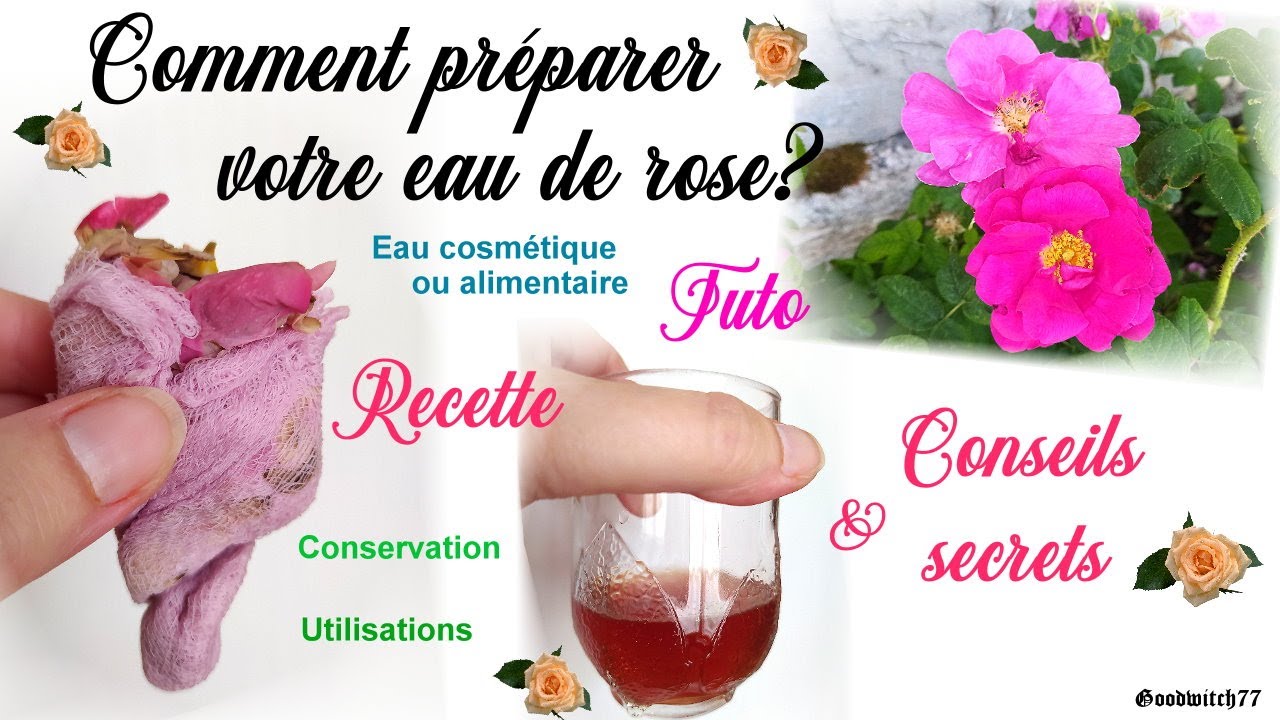 Comment faire son eau de rose maison recette DIY facile  & secrets.  How to make rose water DIY?